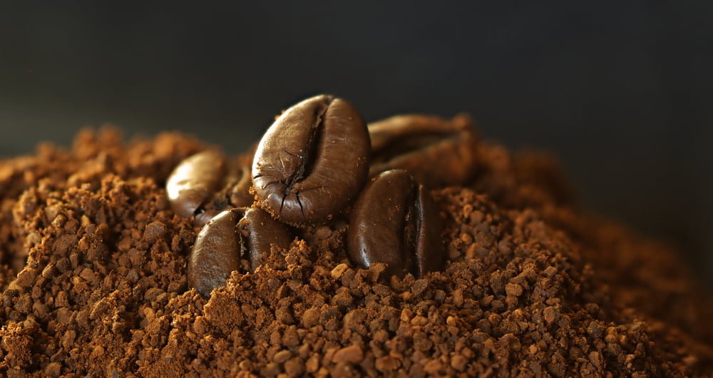 กาแฟเอ็กเซลซ่า